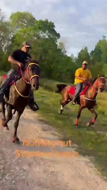 @Trailride Queen LMSW