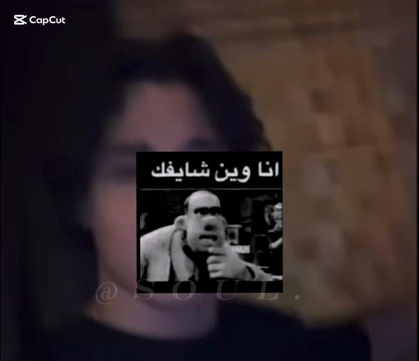 @الوحش التونسي