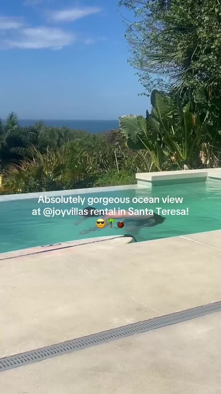 @aediemusic
