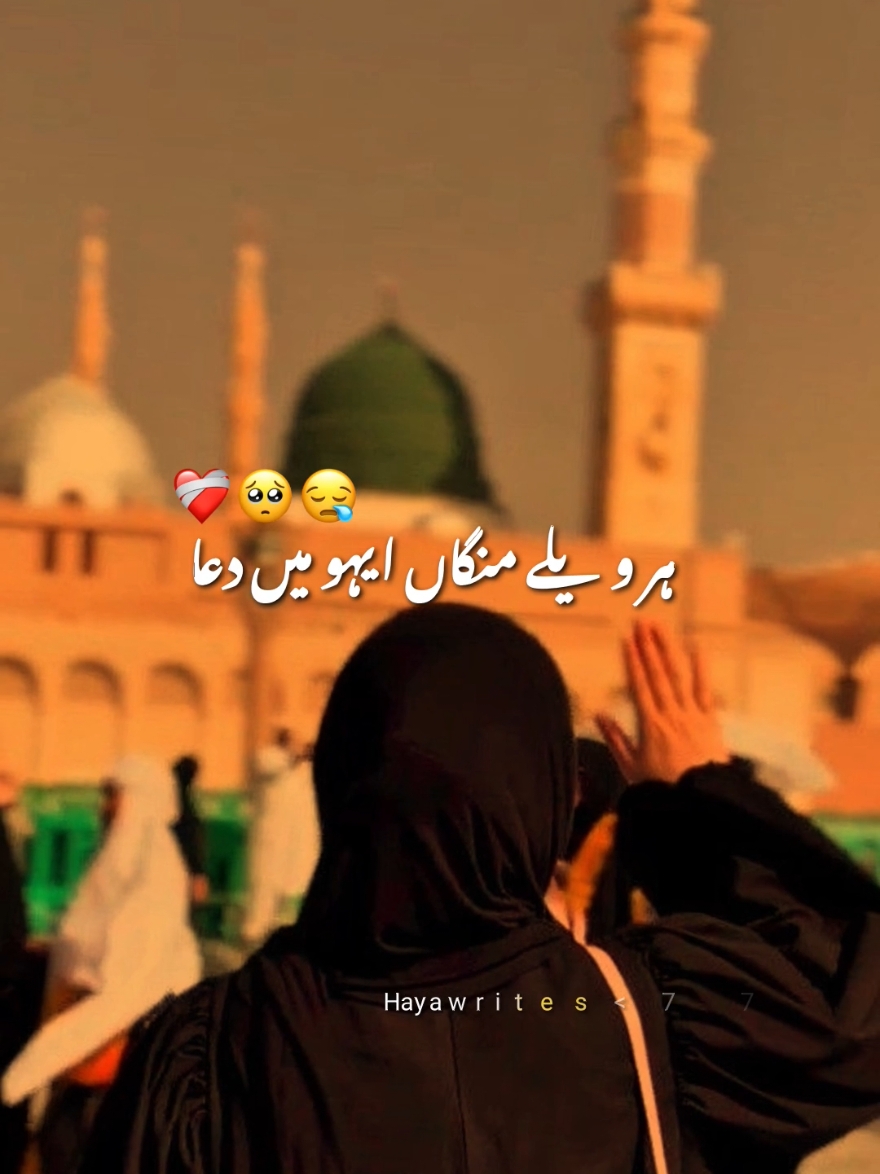 @Haya