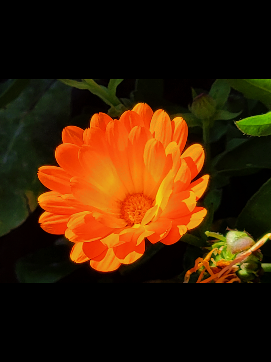 @Mel_Paradise_Art