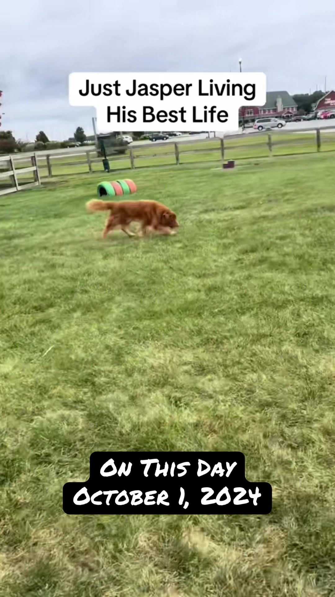@WyldeWater Tollers 🍉