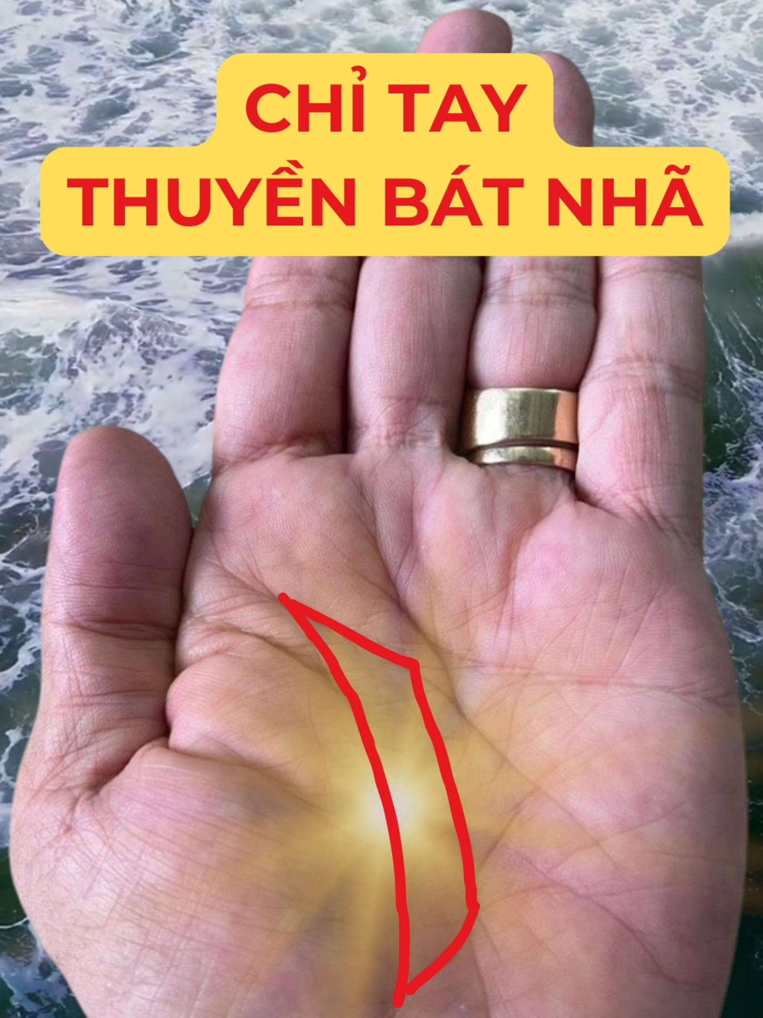 @Học Xem Chỉ Tay
