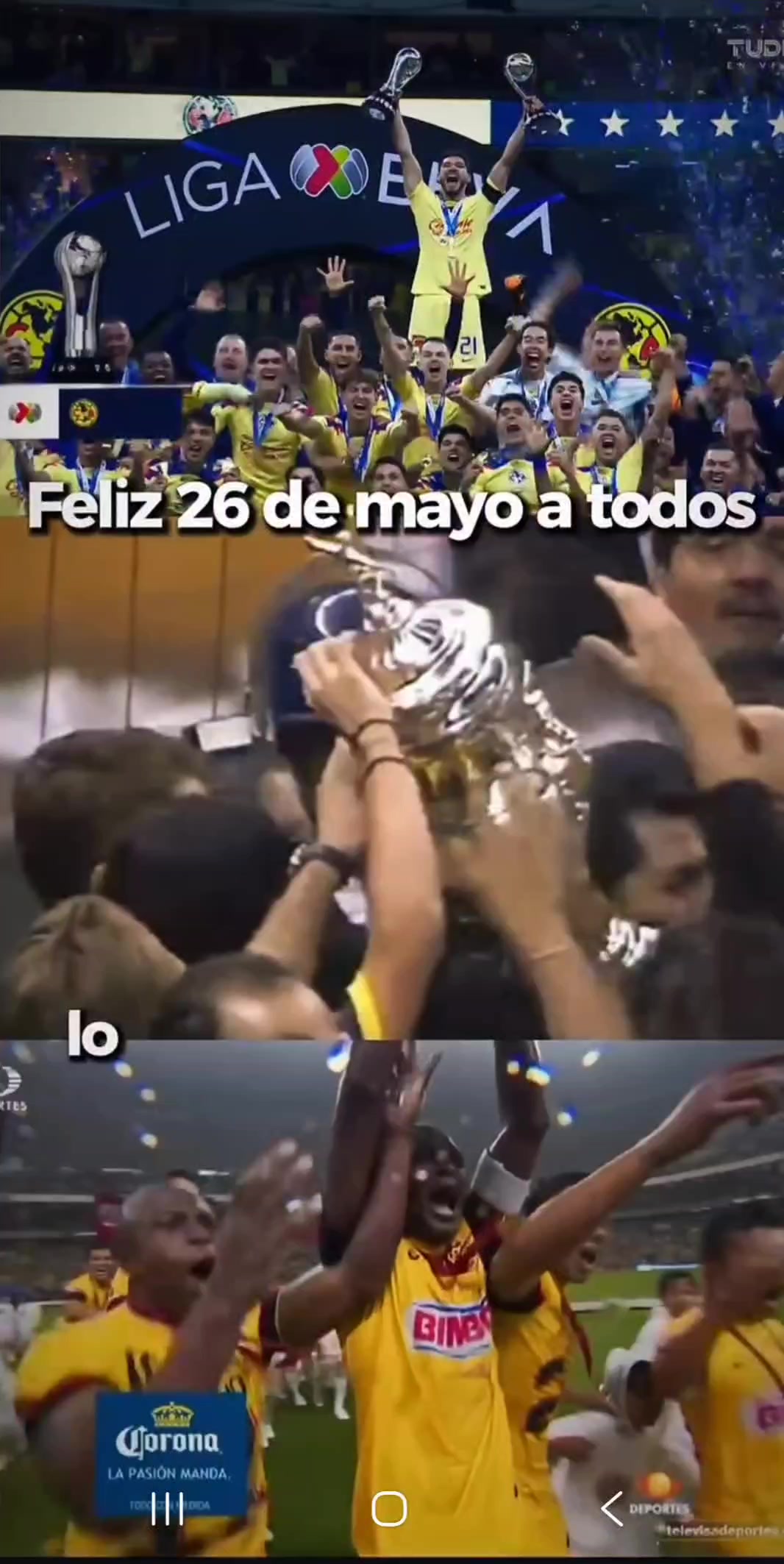 @Beatriz Ortega
