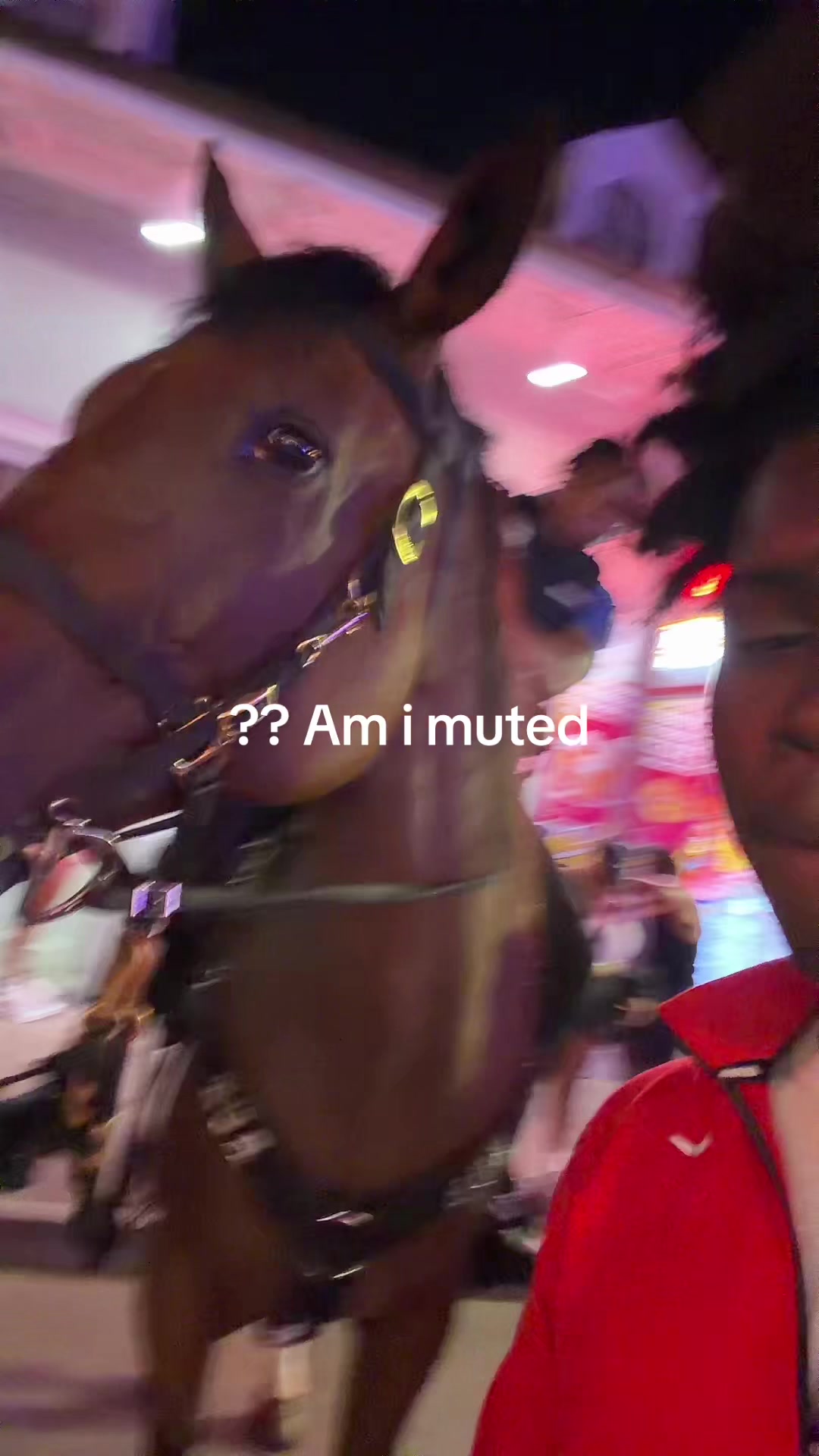 @REAL LUH ANT