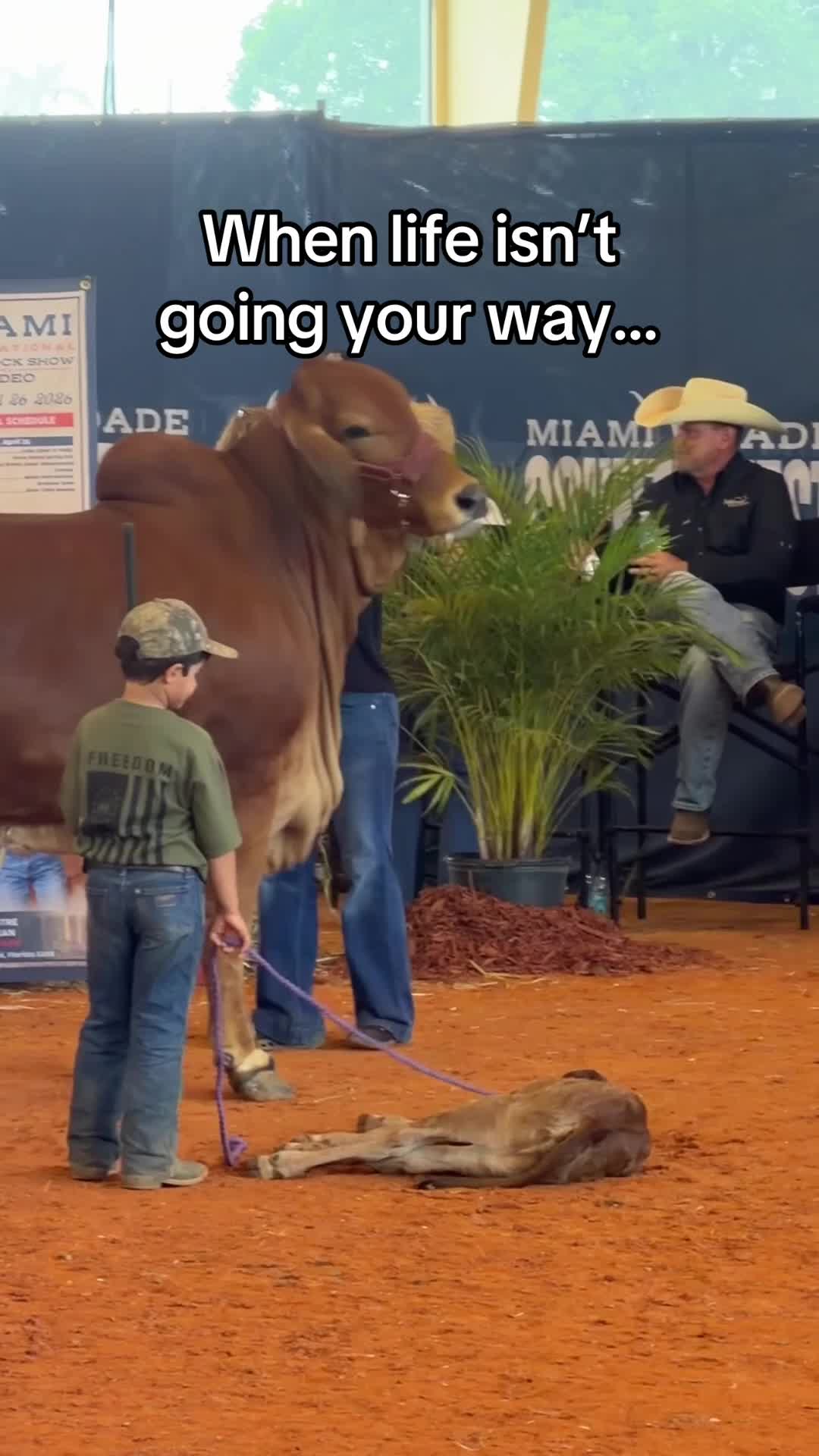 @Moreno Ranches