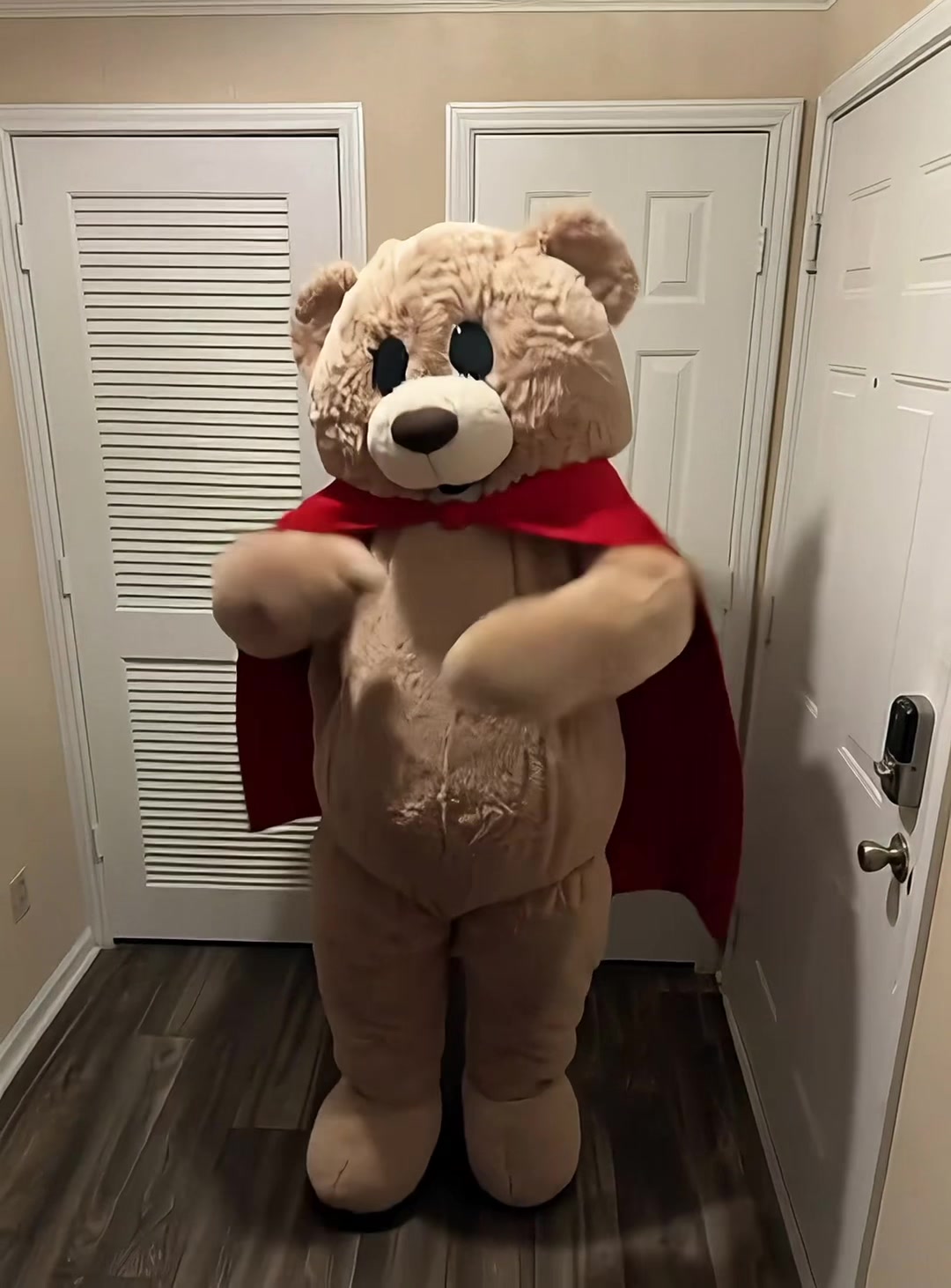 @jaythedancingbear