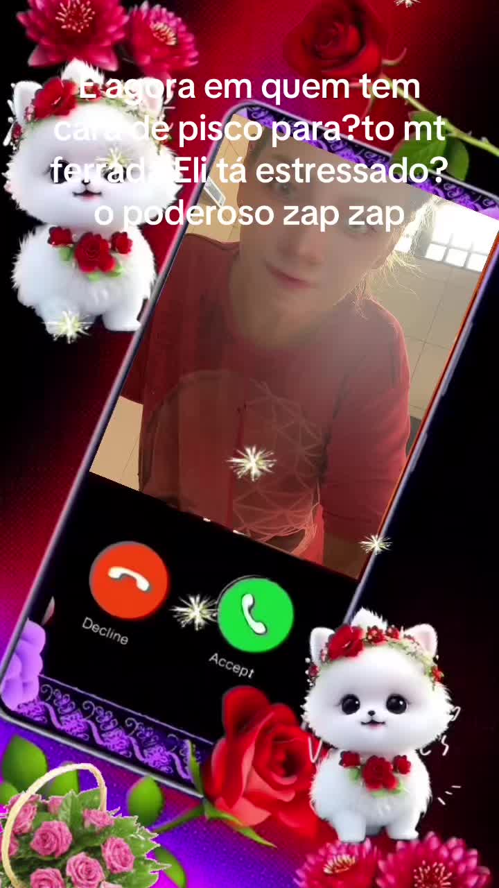 @veronicaxavier834