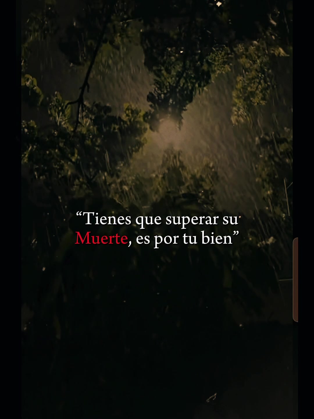 @Elizabeth L&oacute;pez