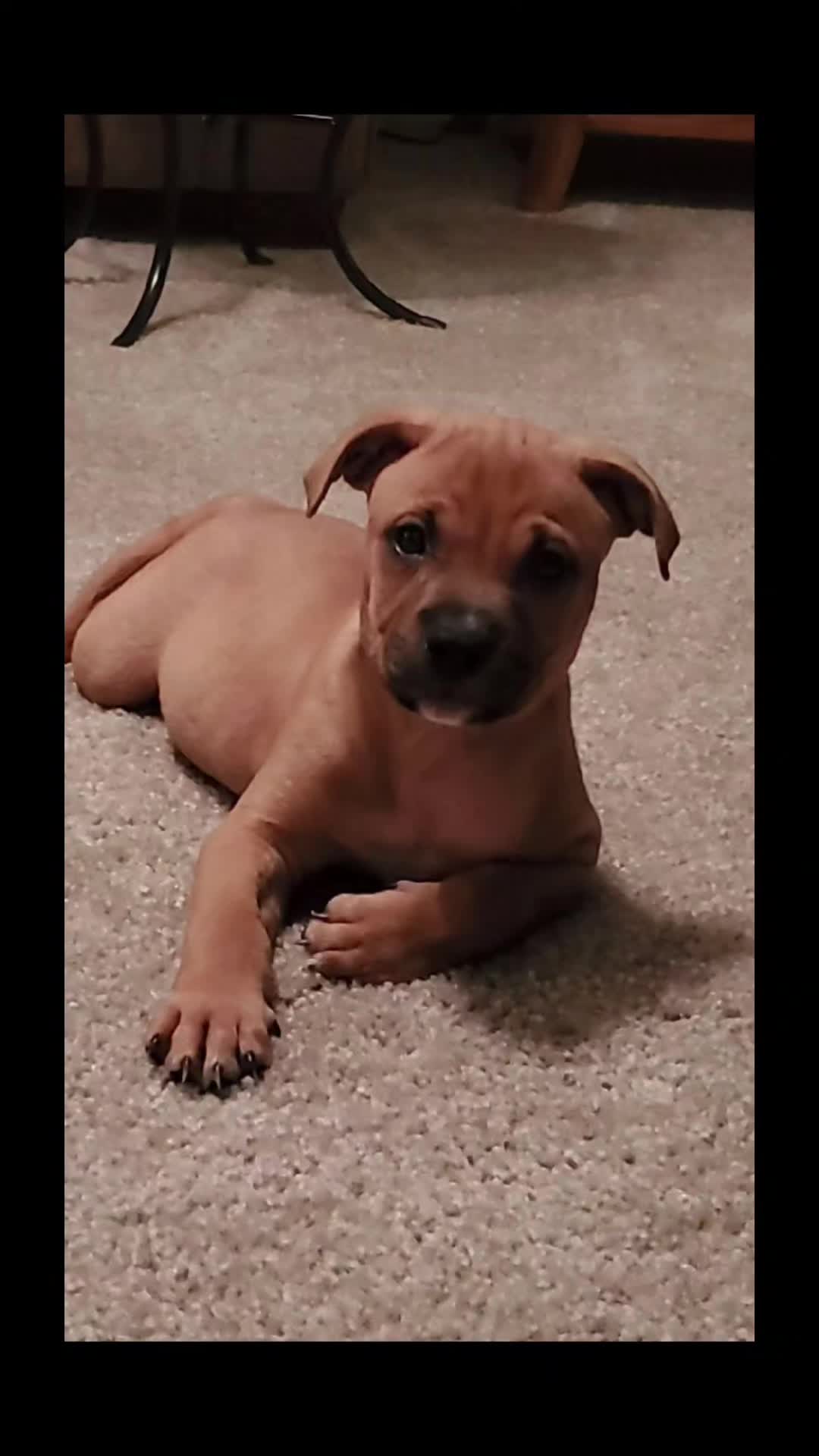 @Kane the friendliest Pit