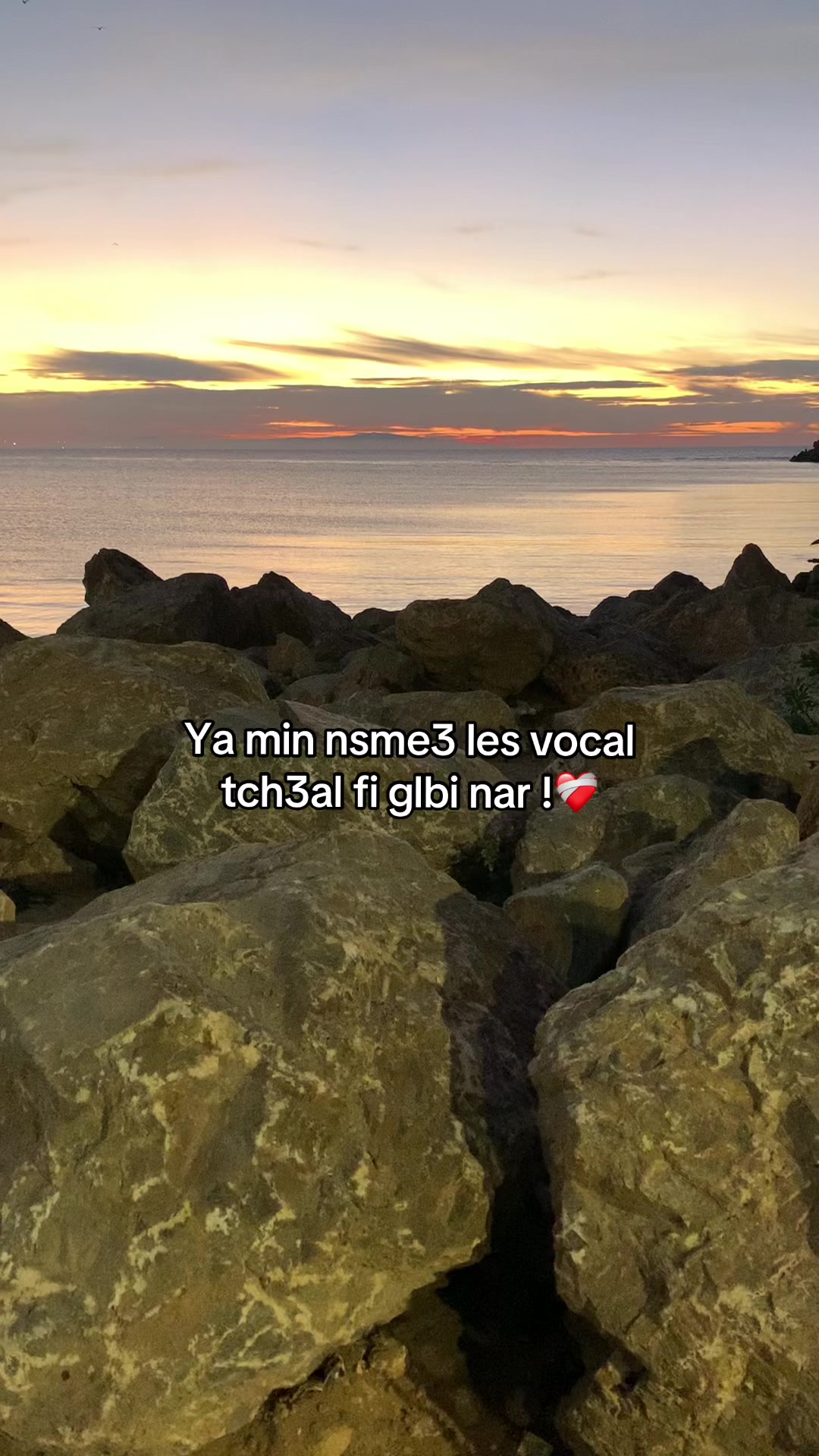 @+213 🖤🇩🇿