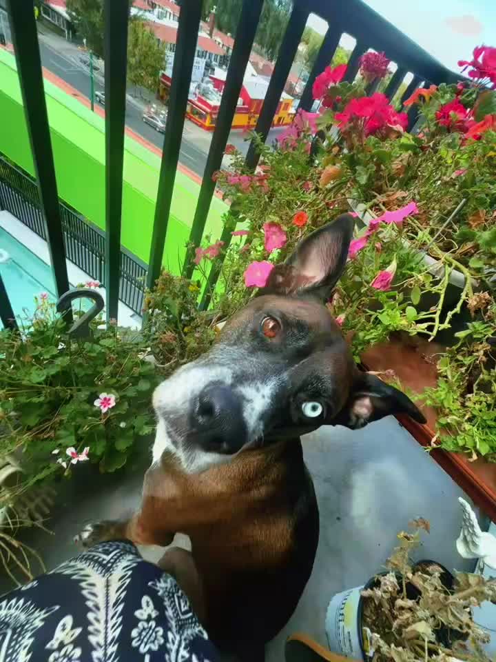 @🌷𝓛𝓪𝔃𝓮𝓻 🌞