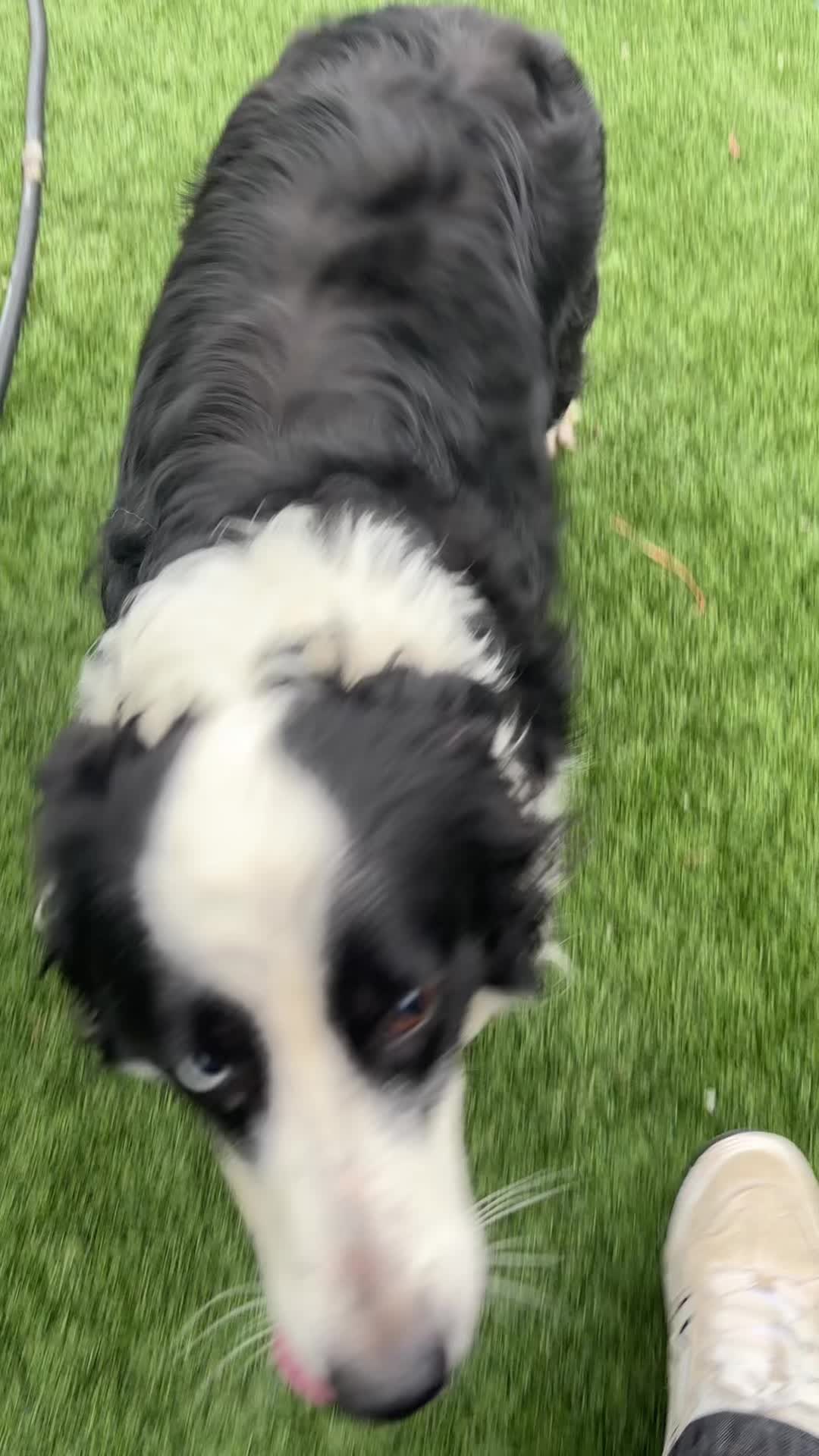 @Bed Bark and Beyond