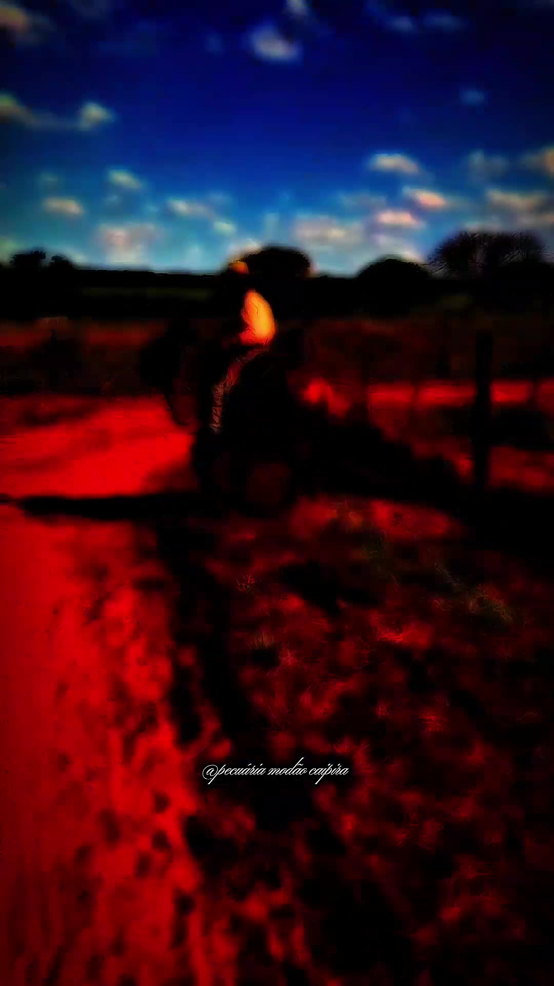 @pecu&aacute;ria mod&atilde;o caipira