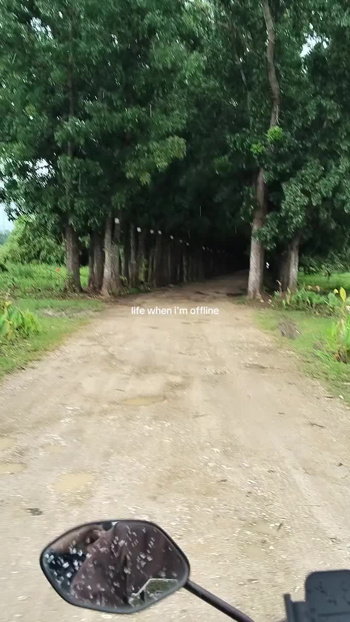 @momai
