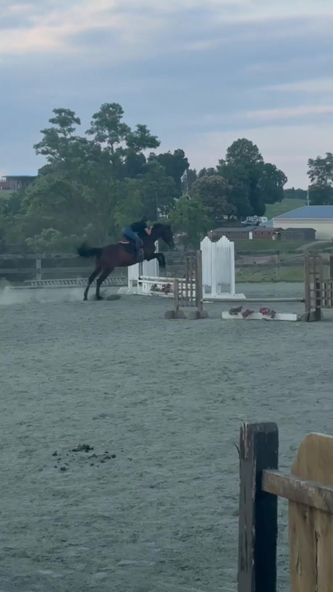 @Aftyn 🐎