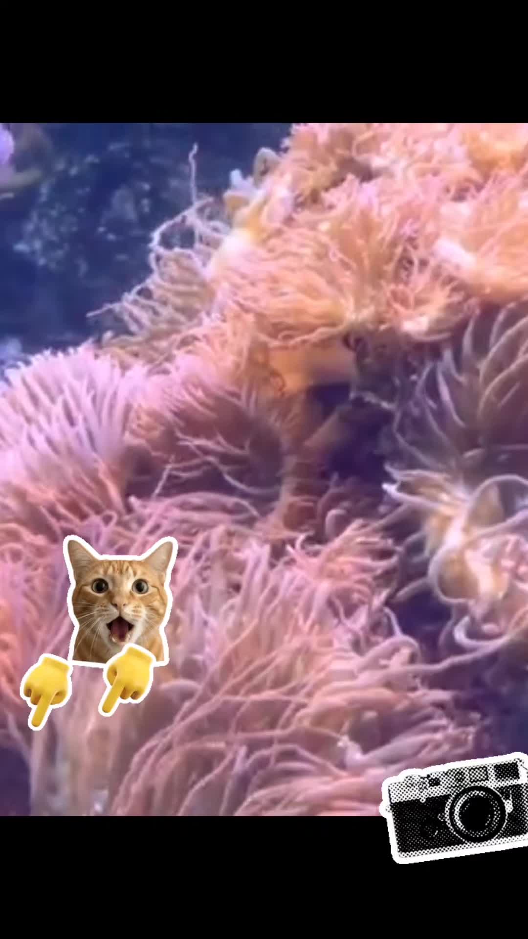 @Britthundo