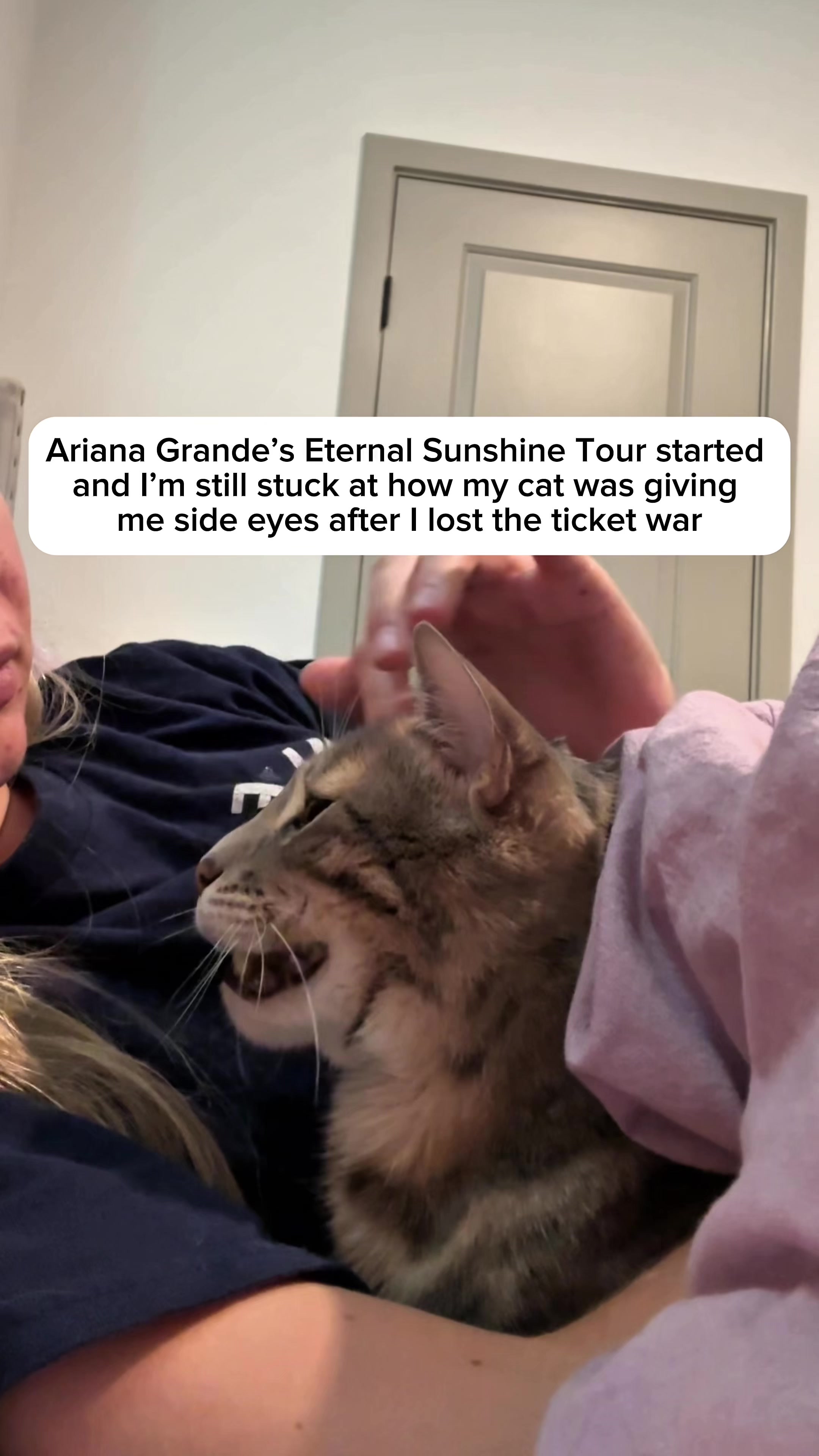 @Mochi the Bengal