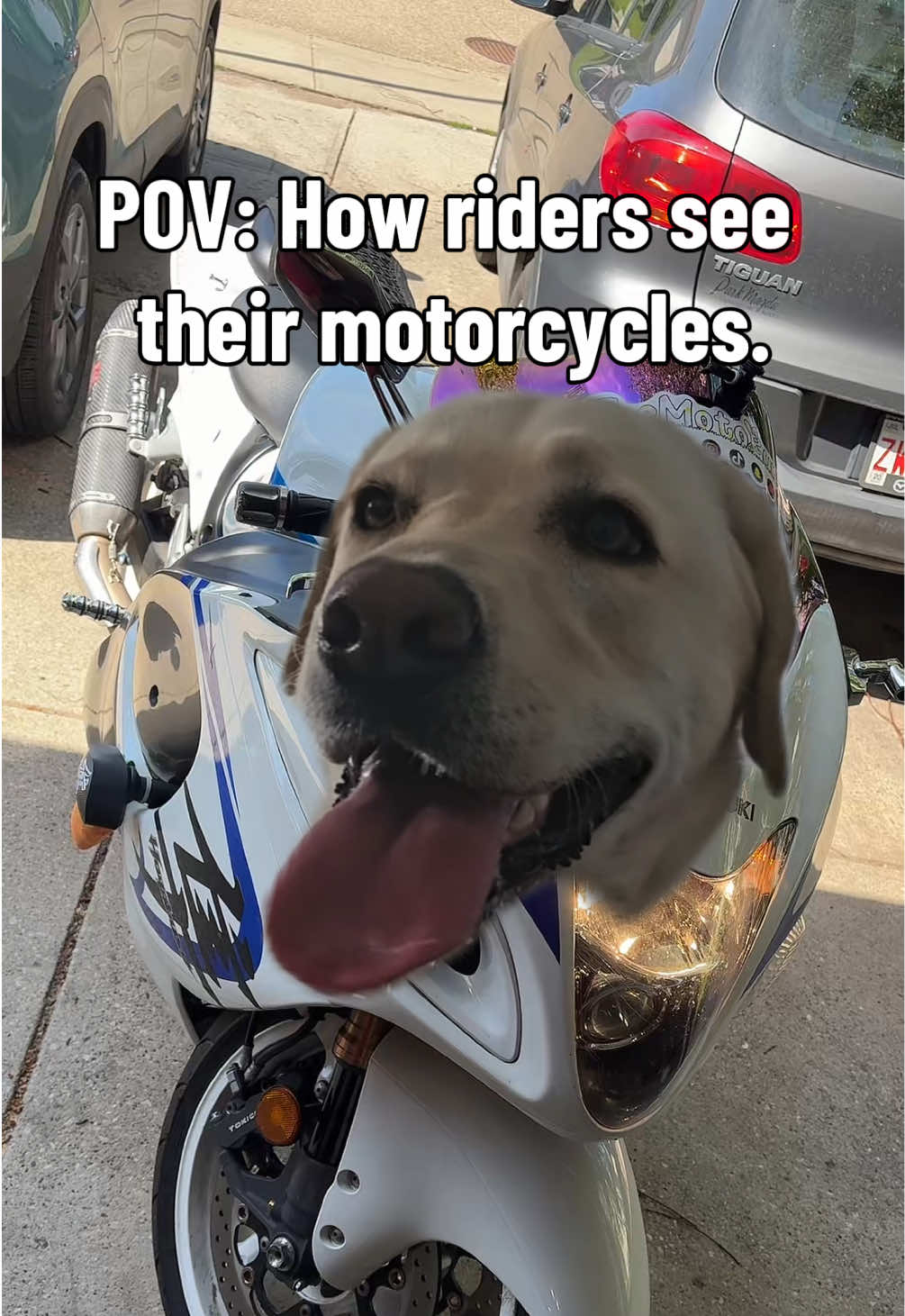 @TheMotoBunny