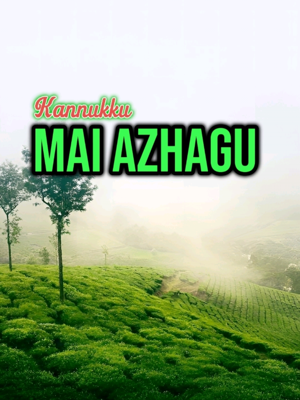 @Maari_lyrics😎