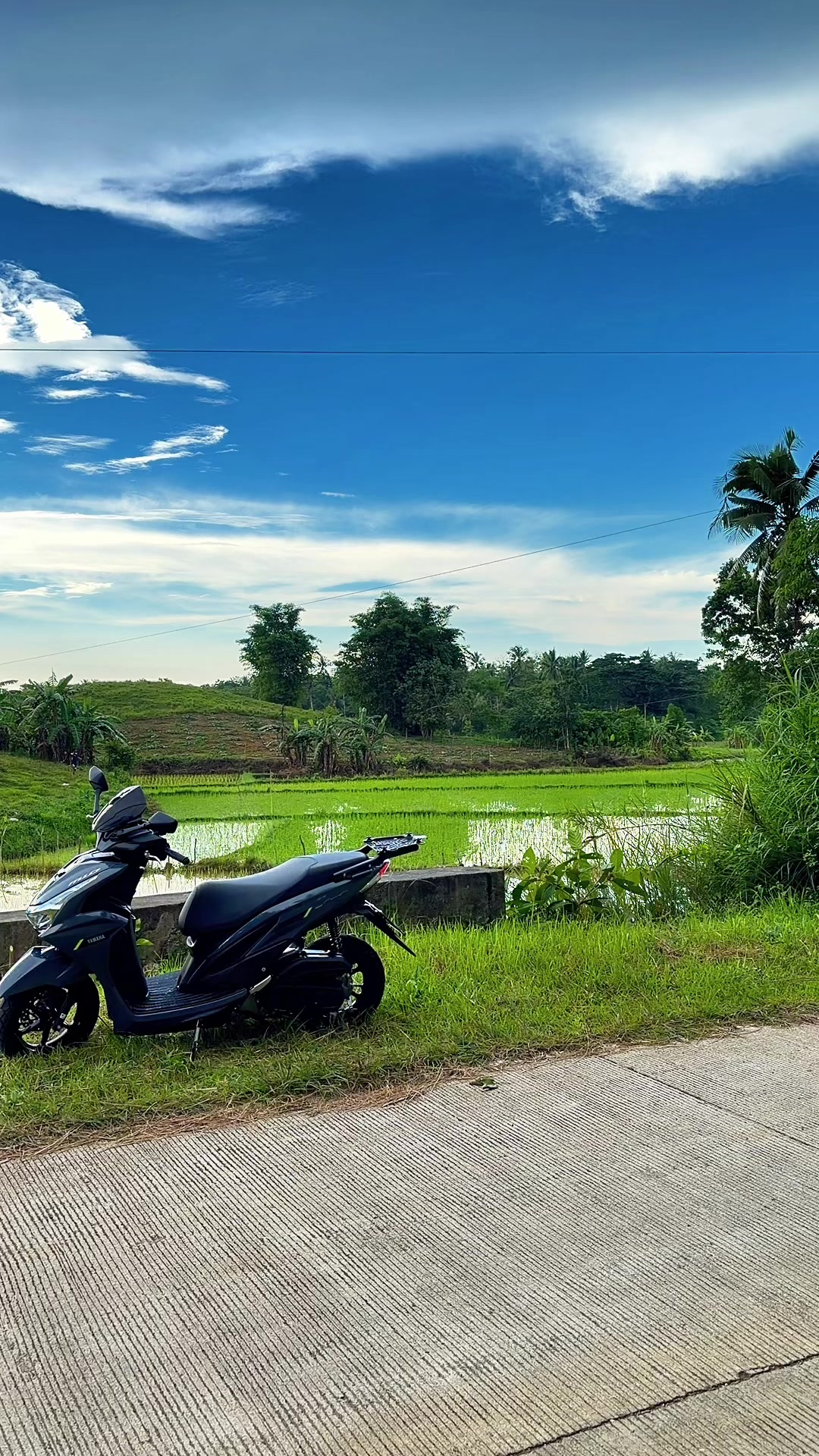 @✨Zen Travel✅