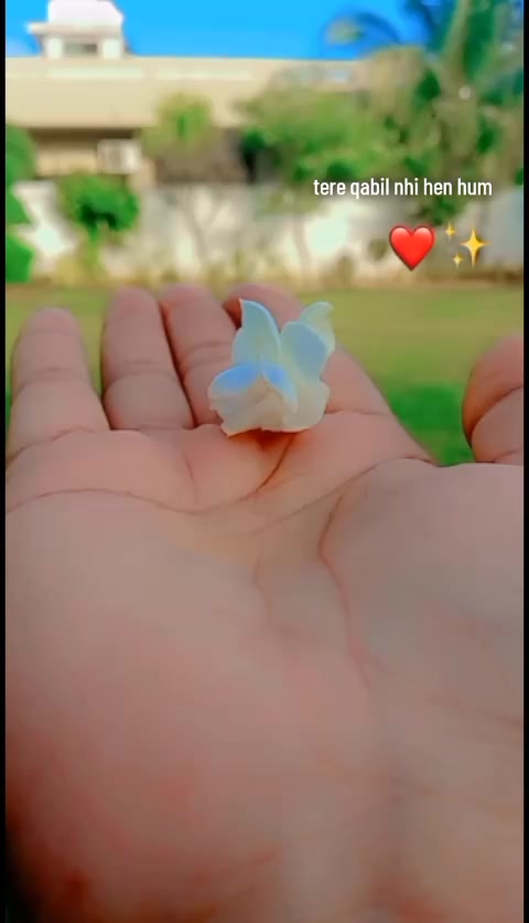 @🕊️⚔️Hammad writes ⚔️🕊️