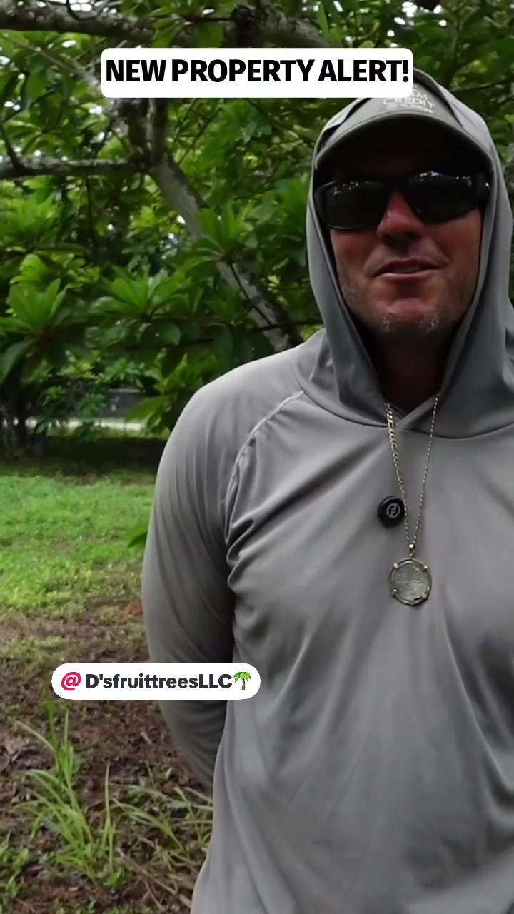 @Fruitful Trees