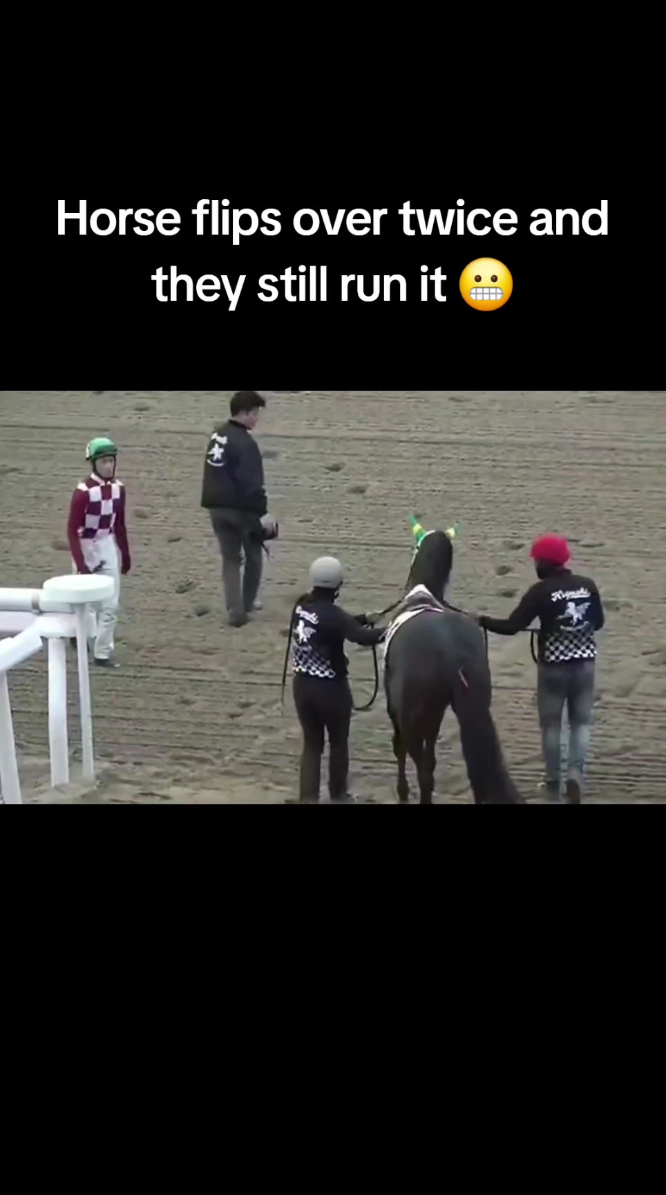 @🐎🐕CHLOE🐕🐎