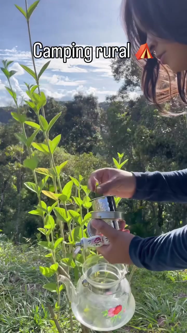 @Cidadenatureza