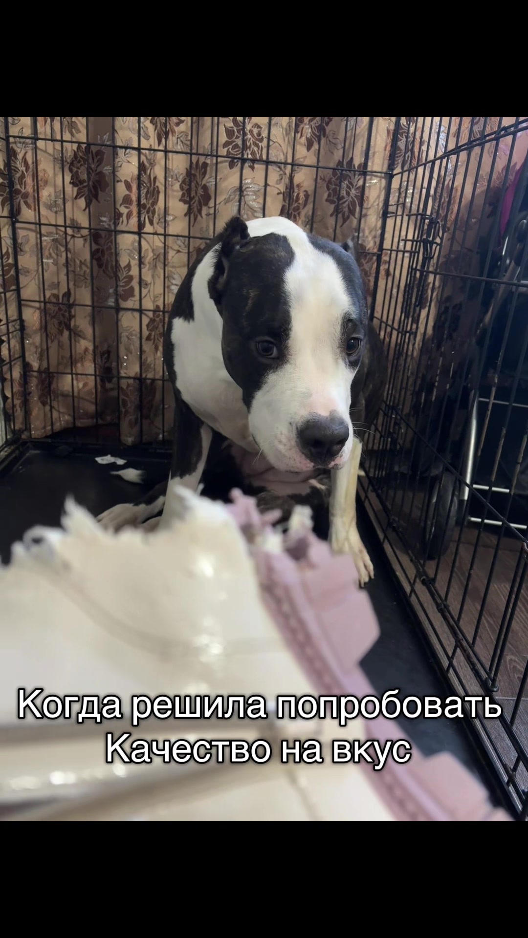 @Дариша✅