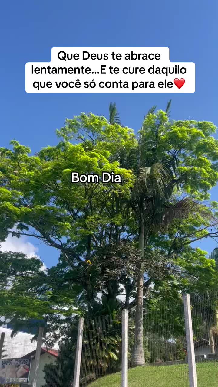 @Cida