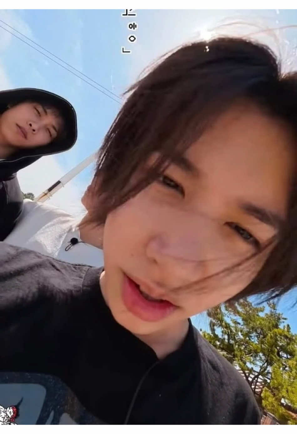 @cloverꨄ