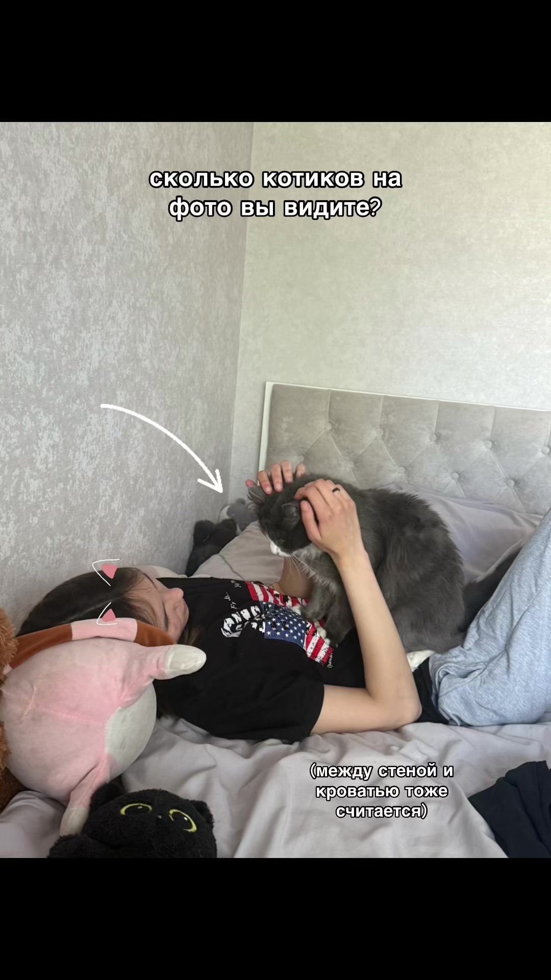 @кошка