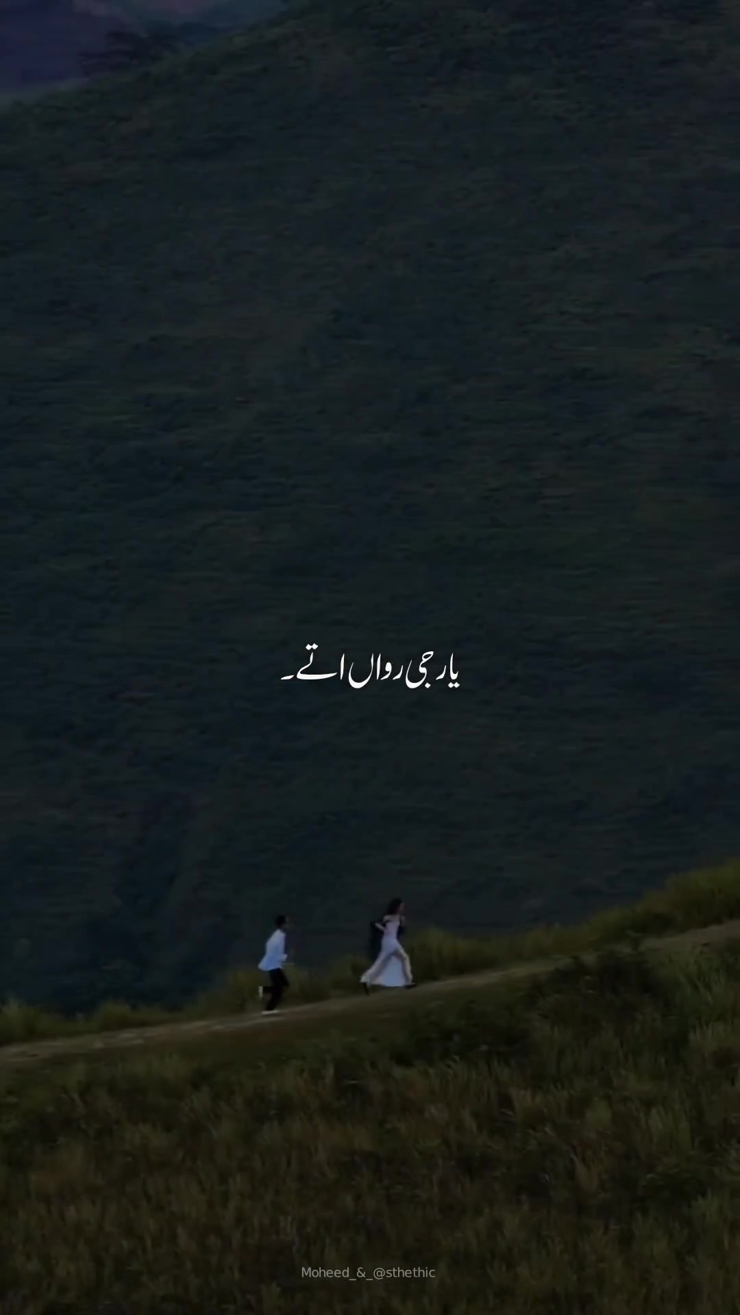 @Moheed astethic 🙈🕊️🤭
