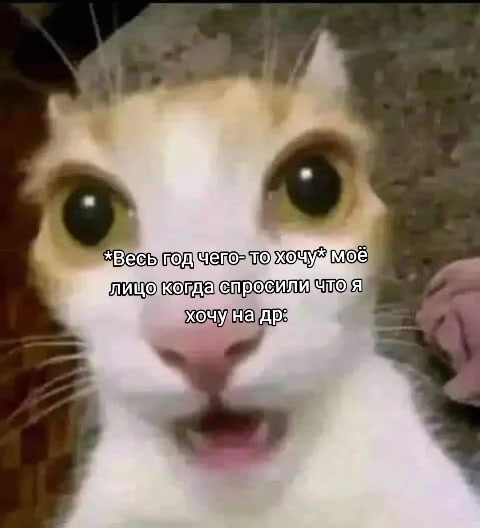 @𝓐𝓷𝓰𝓮𝓵✯𝓬𝓱𝓮𝓴