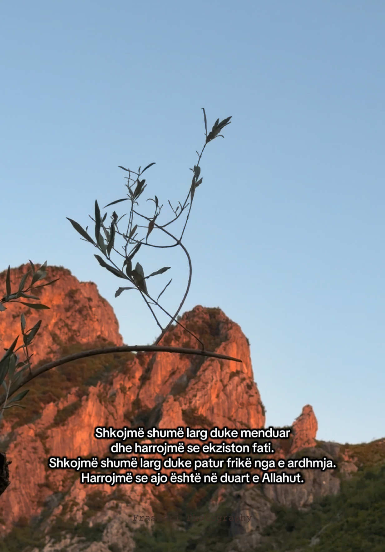 @𝐿𝓊𝓂𝑒𝓃 𝒷𝓎 𝐸𝓇𝒶𝓁𝒹𝒶