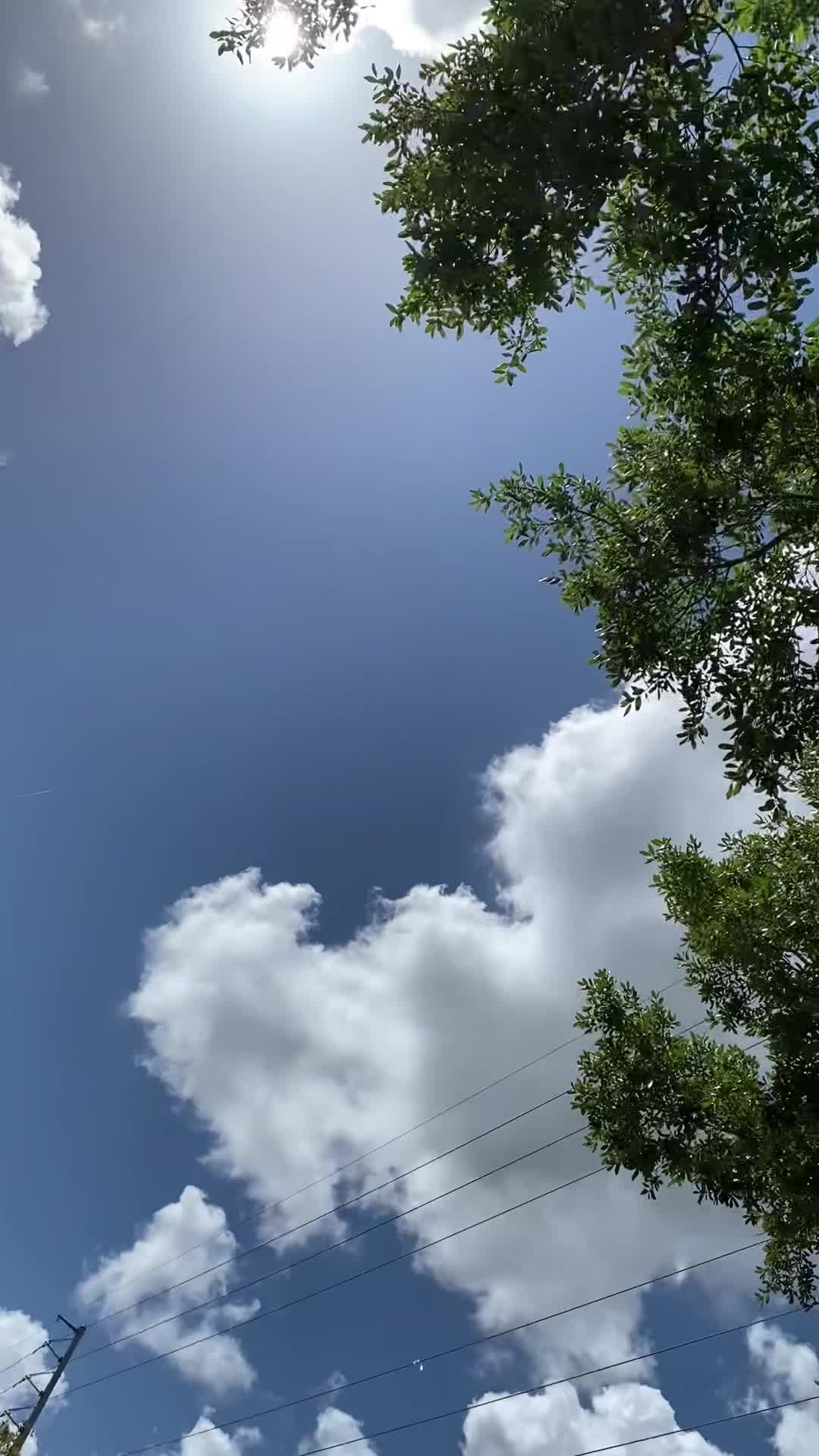 @FaithOverMatter49