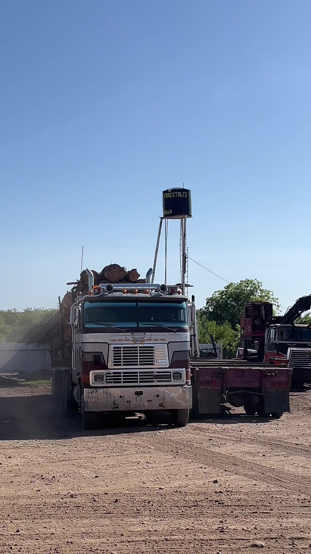 @Chihuahua Trucks