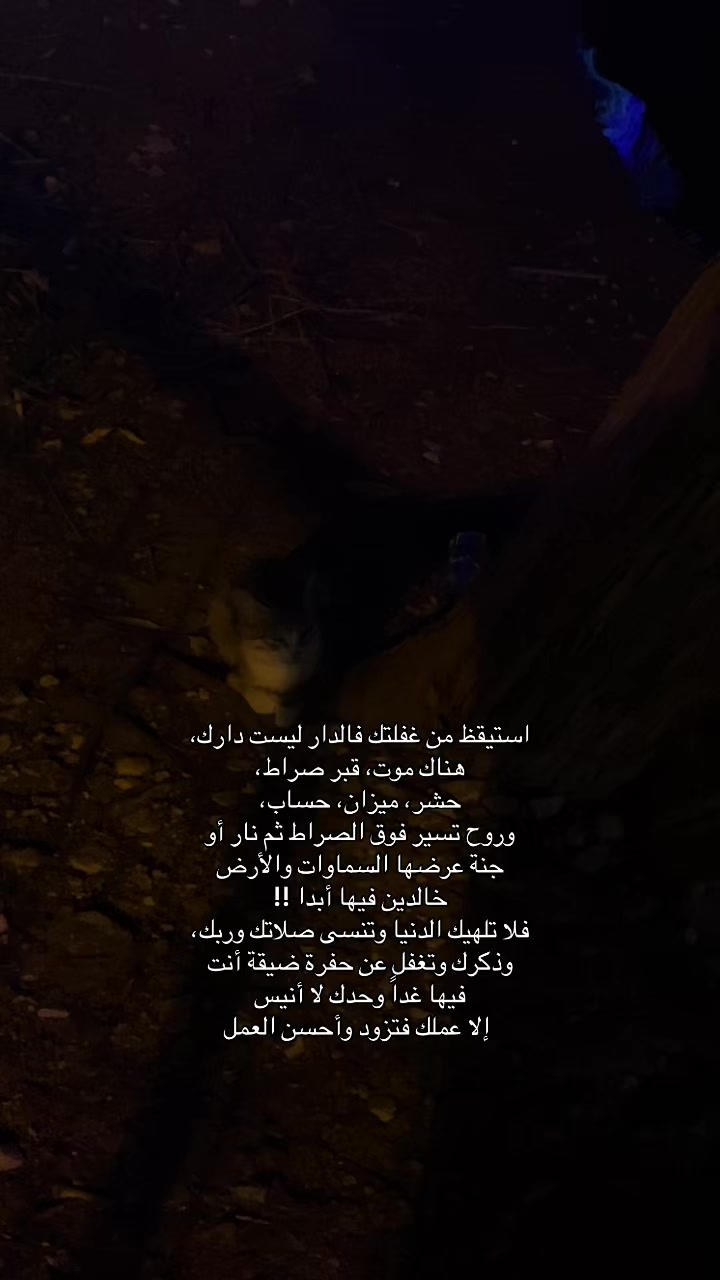 @رِهـام 𐙚 ✪