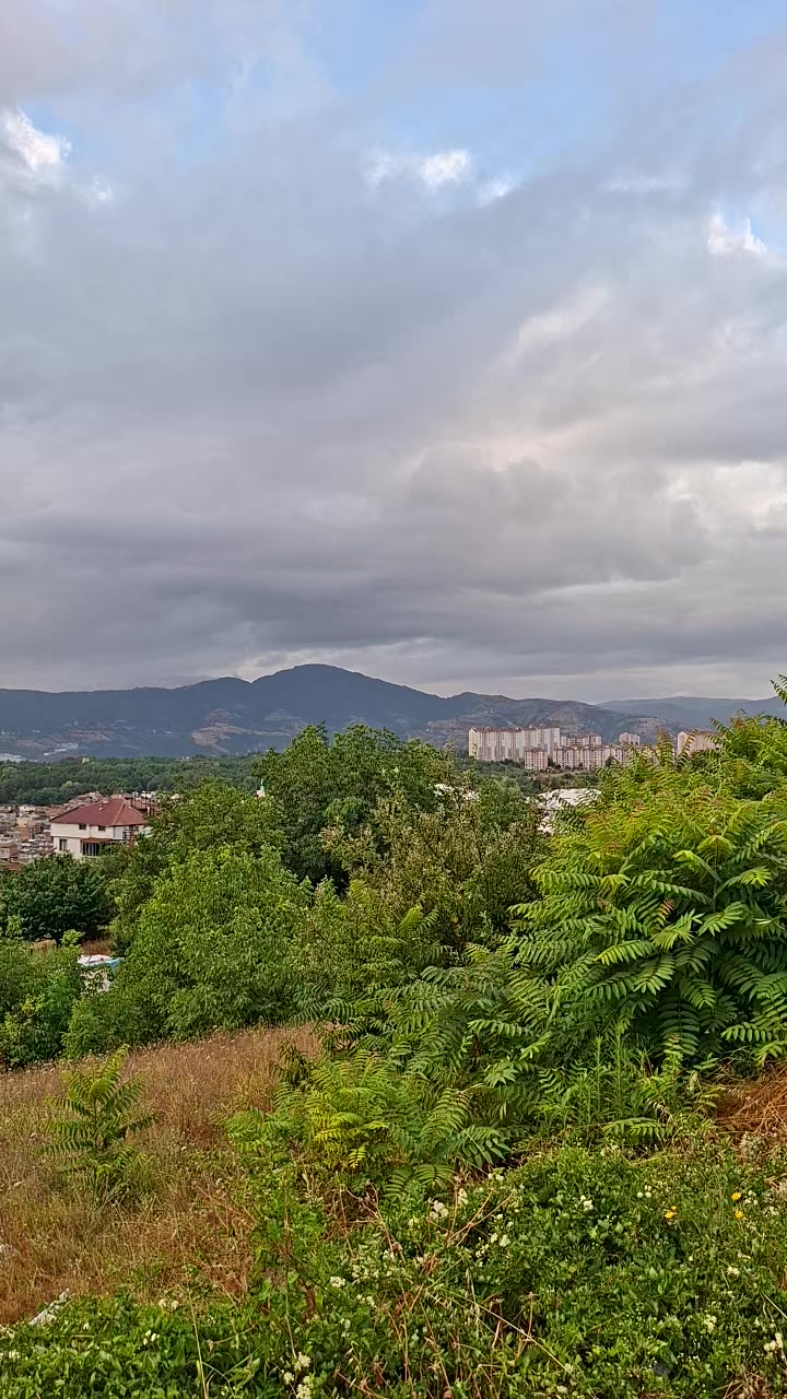@davutardic