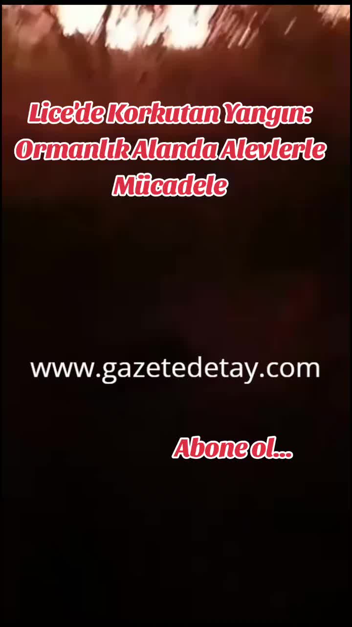 @Gazete Dty www.gazetedetay.com