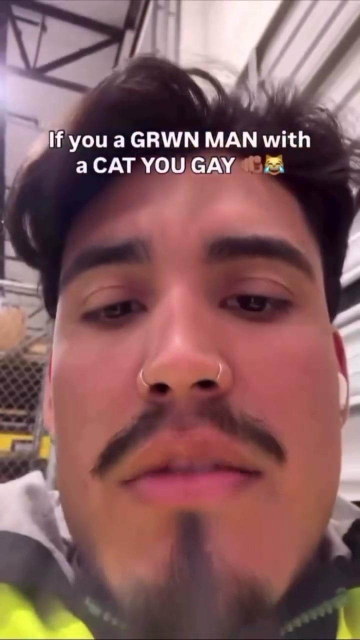 @Damo