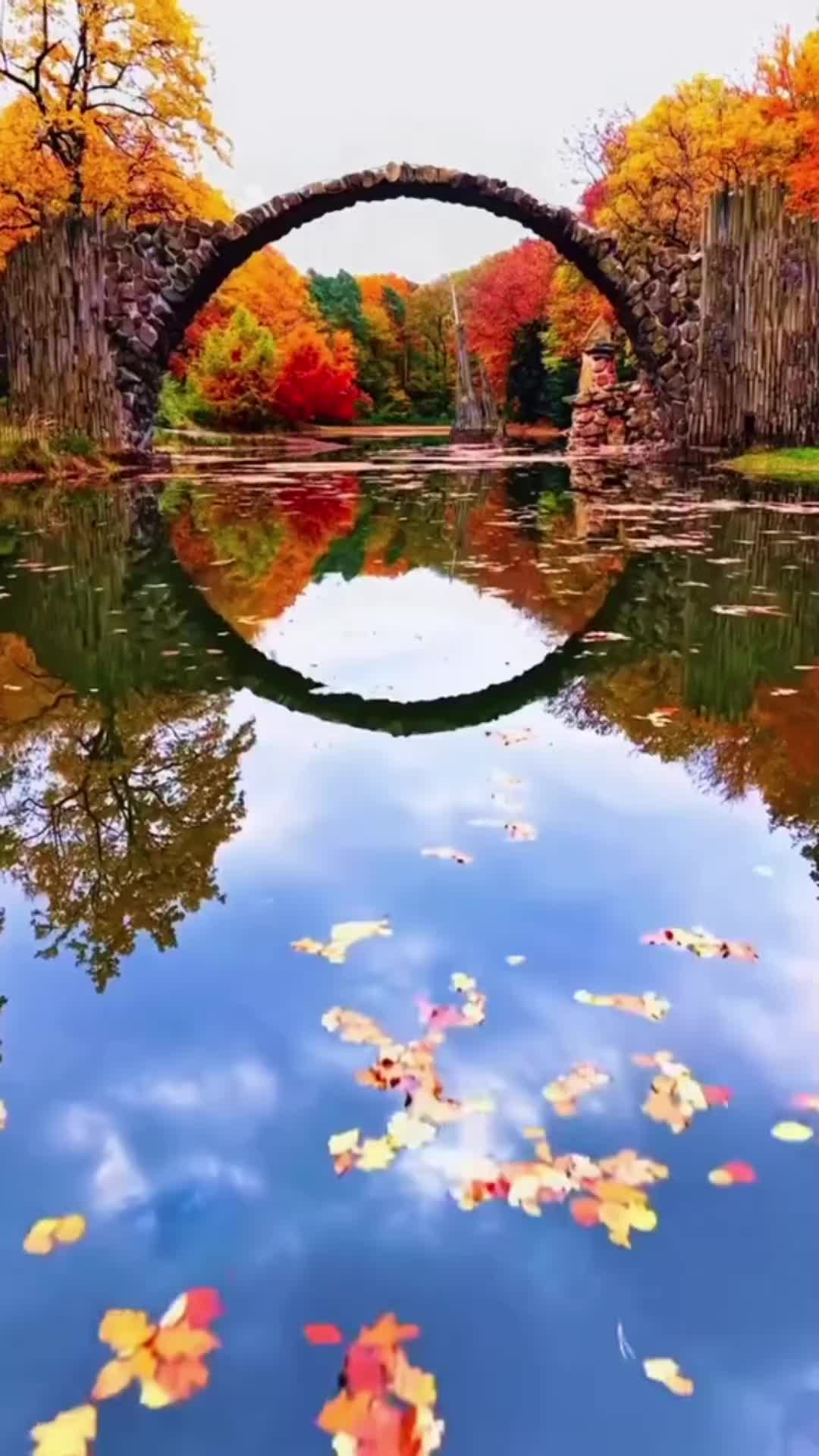@R🦋🦋🦋