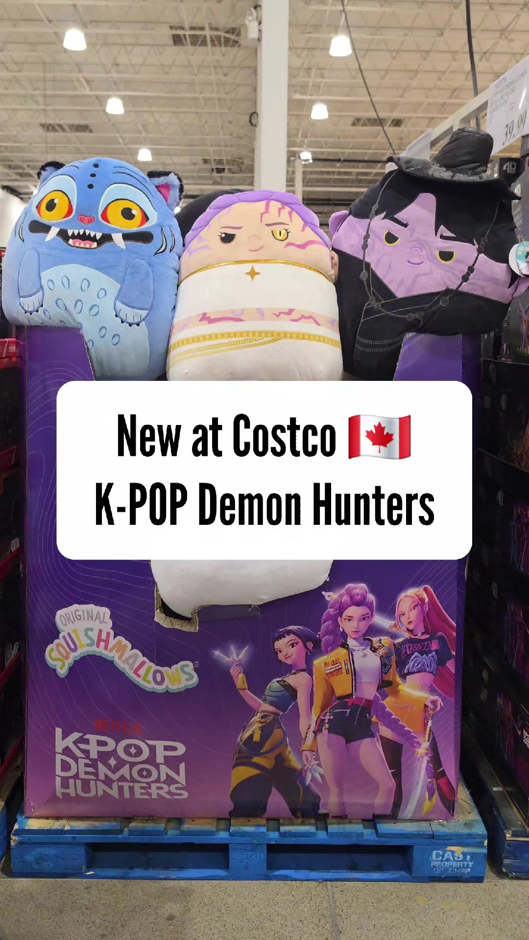 @TheCostcoMan
