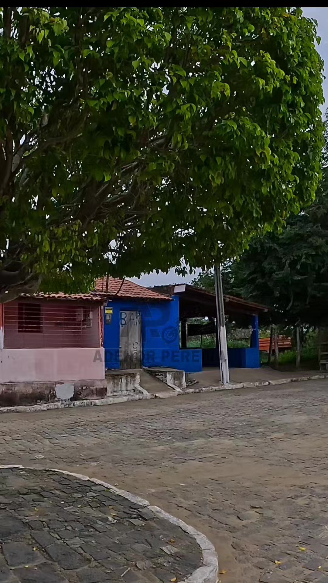 @adenor_pereira