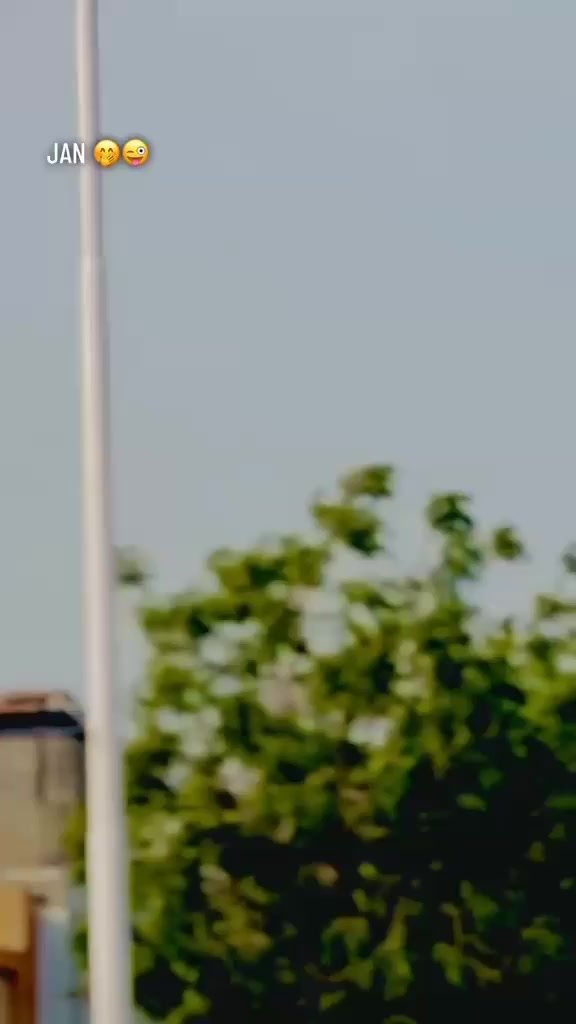 @𓂀 𝕂𝔸𝕊ℍ𝕄𝕀ℝ𝕐 𝔹ℝ𝔸ℕ𝔻 𓂀