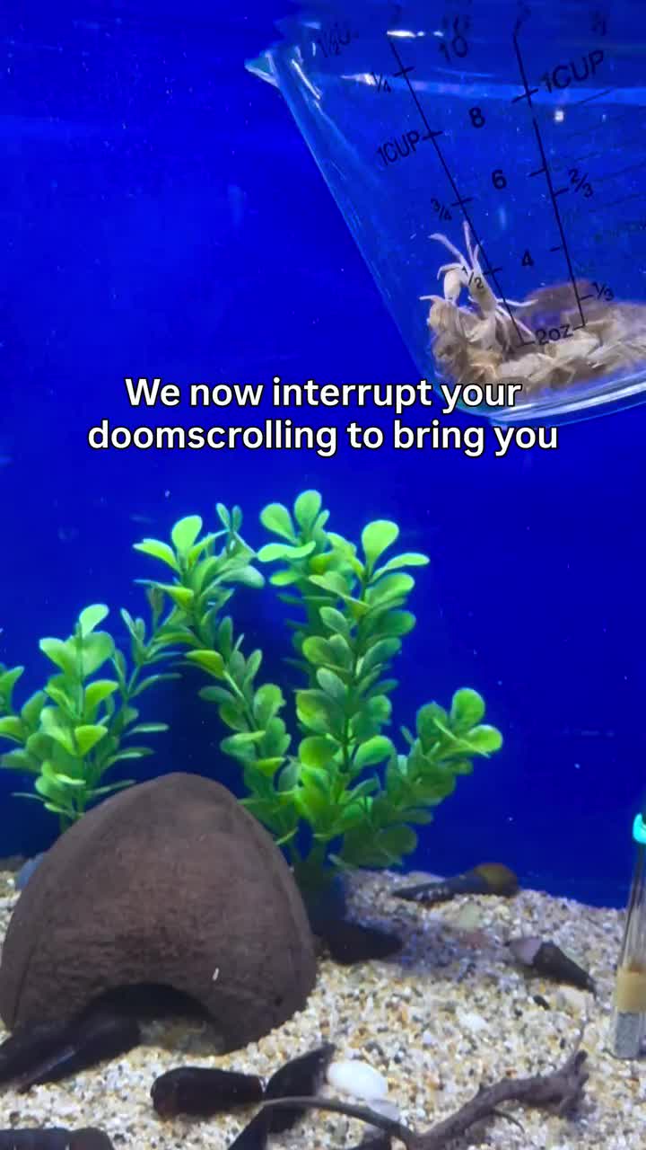 @Squirmywormy72