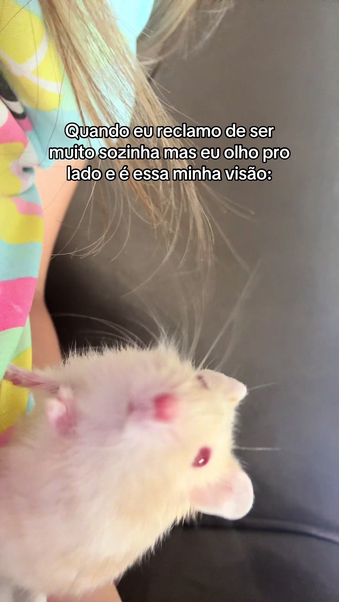 @luisafragoso