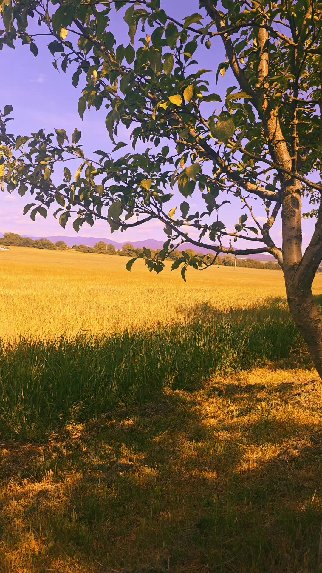 @ঔৣ✞★𝐁ĕ𝐦𝐛įĸő_𝐌𝐚𝐥𝐢&yuml;★✞ঔৣ