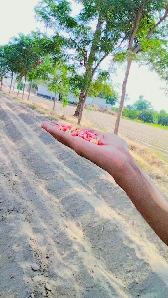 @Mahar shahzaib😍